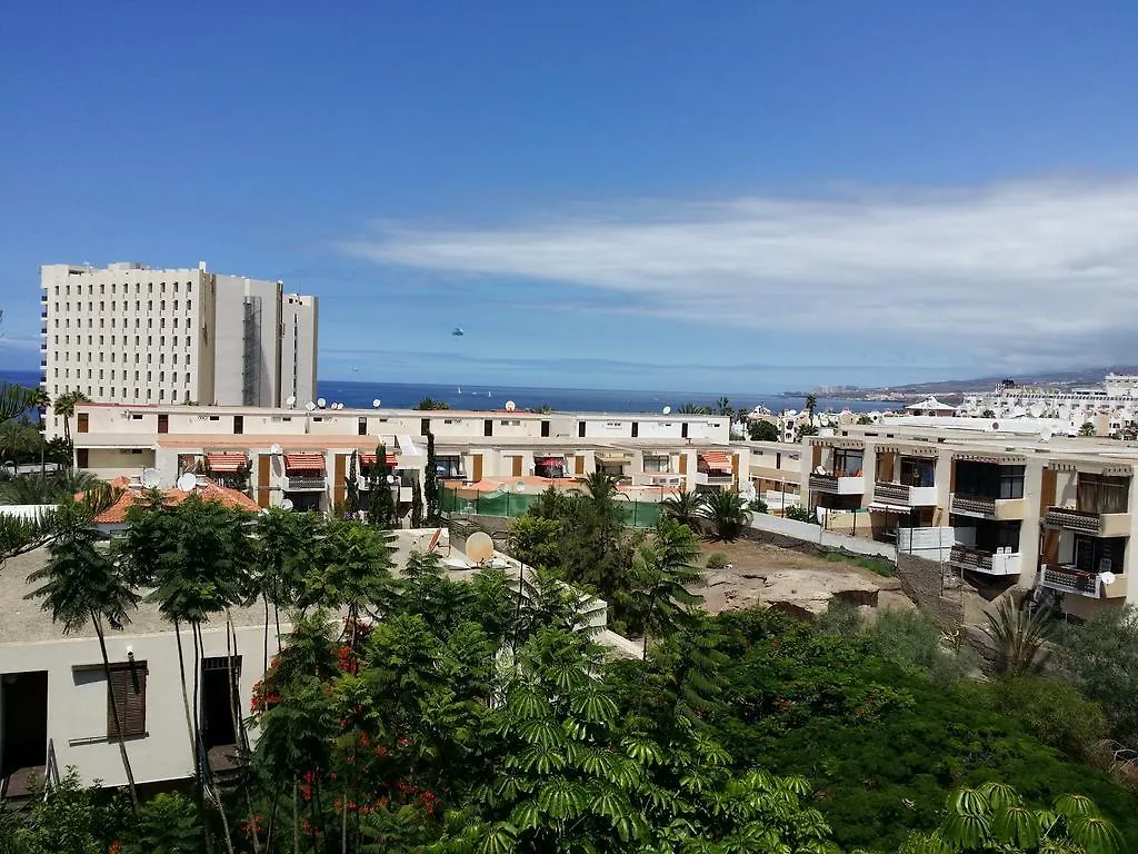Apartment Jacaranda Playa de las Americas  Spain