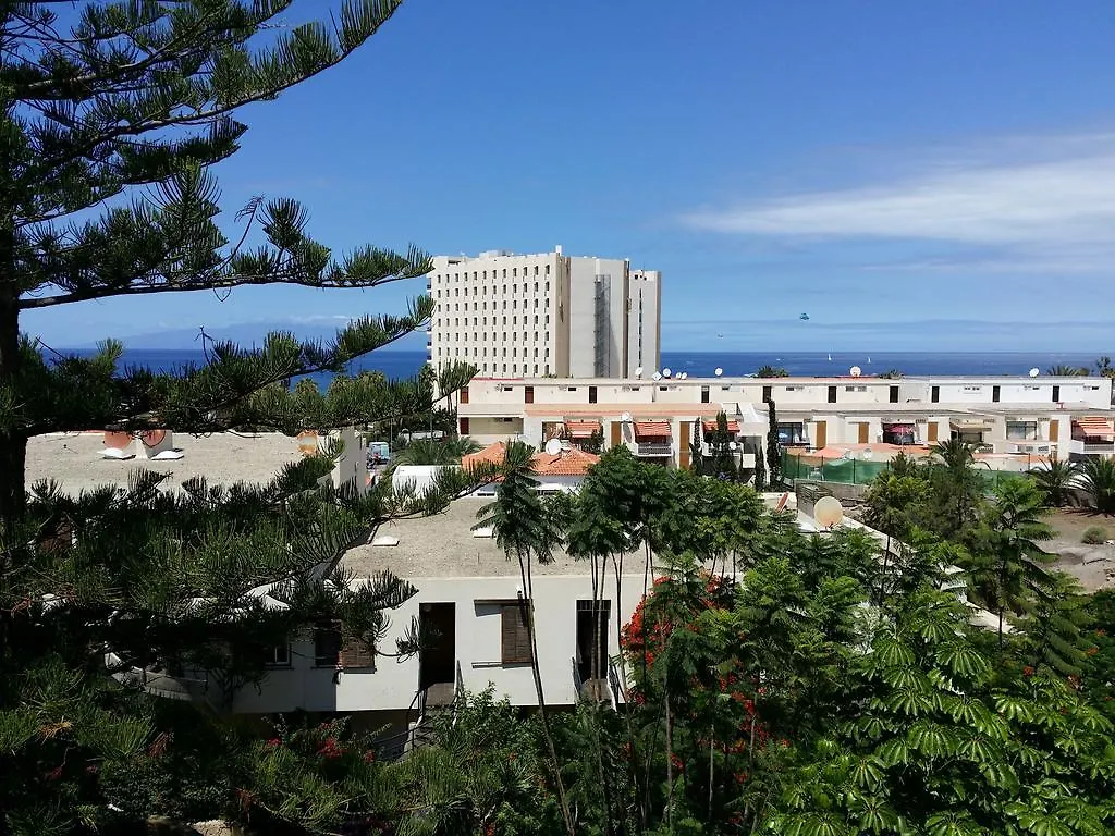 Apartment Jacaranda Playa de las Americas   Playa de las Americas (Tenerife)