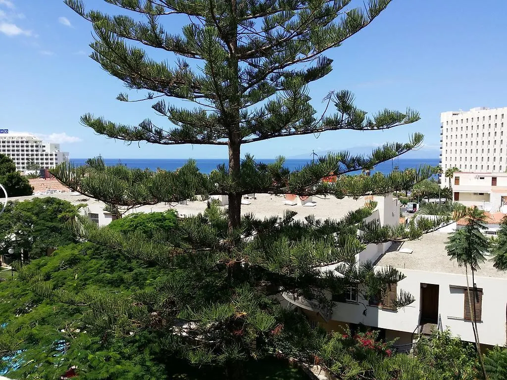 Apartment Jacaranda Playa de las Americas  Španělsko